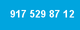 917 529 87 12